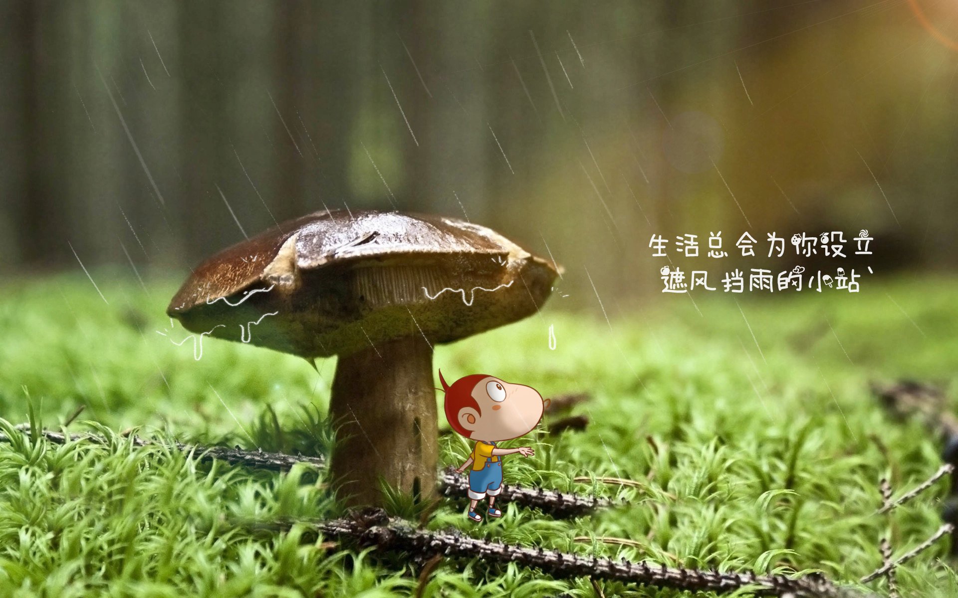 《电竞直播的幕后：主播制作背后的故事》，电竞主播是靠什么赚钱