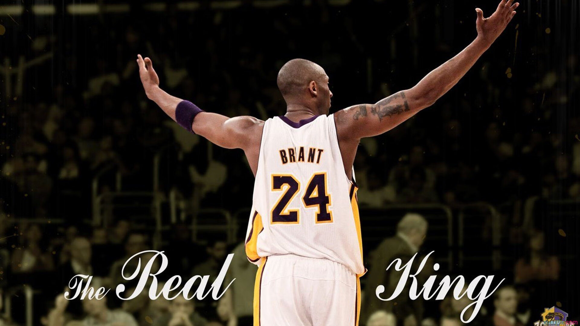 开云官网APP下载-_勇士三分雨不停，战绩节节高升_，勇士三分庆祝动作